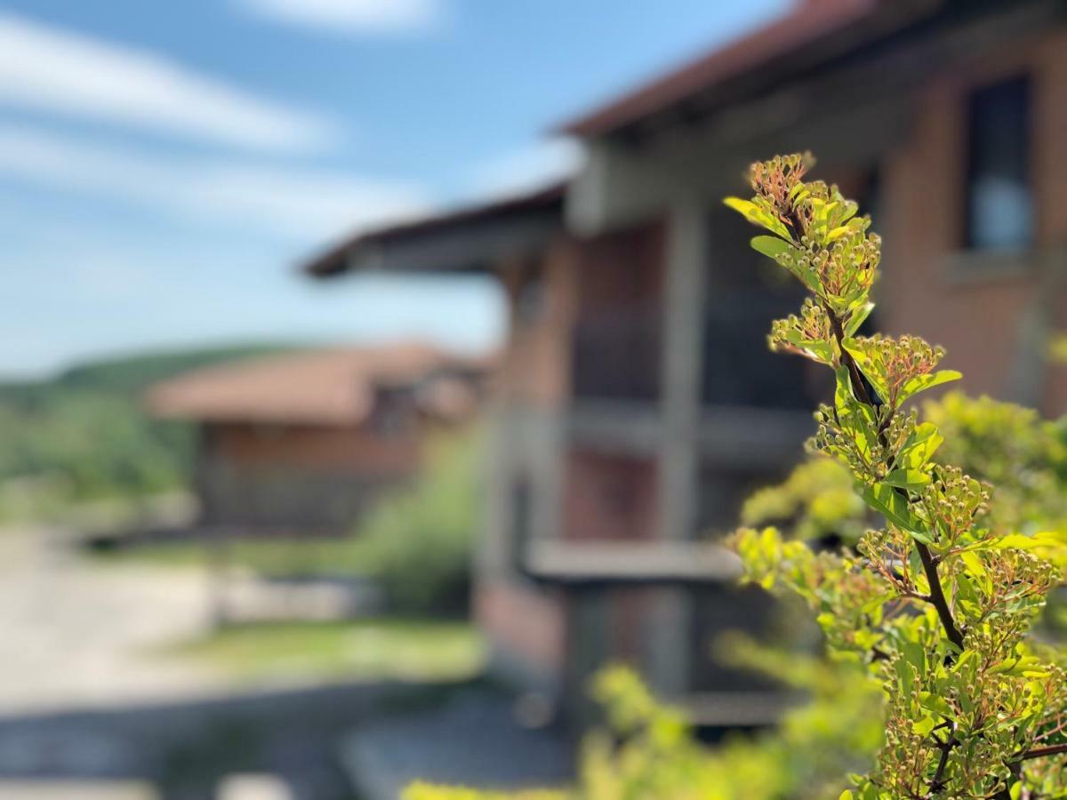 Hotel Pietrapanna Calvello Bagian luar foto